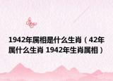 1942年屬相是什么生肖（42年屬什么生肖 1942年生肖屬相）