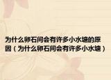 為什么卵石間會(huì)有許多小水塘的原因（為什么卵石間會(huì)有許多小水塘）