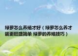 綠蘿怎么養(yǎng)殖才好（綠蘿怎么養(yǎng)才能更旺盛簡單 綠蘿的養(yǎng)殖技巧）