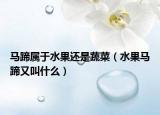 馬蹄屬于水果還是蔬菜（水果馬蹄又叫什么）