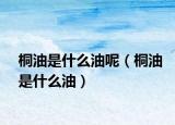 桐油是什么油呢（桐油是什么油）
