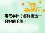 毛筆字體（怎樣挑選一只好的毛筆）