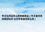 冬天牡丹花怎么養(yǎng)家庭養(yǎng)法（冬天室內(nèi)怎樣養(yǎng)好牡丹 牡丹冬季室內(nèi)怎么養(yǎng)）