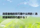 選擇音響的技巧是什么樣的（選擇音響的技巧是什么）