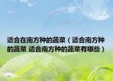適合在南方種的蔬菜（適合南方種的蔬菜 適合南方種的蔬菜有哪些）