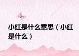 小紅是什么意思（小紅是什么）