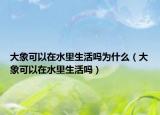 大象可以在水里生活嗎為什么（大象可以在水里生活嗎）
