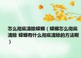 怎么徹底清除蟑螂（蟑螂怎么徹底清除 蟑螂有什么徹底清除的方法呢）
