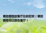 哪些植物放客廳比較旺財（哪些植物可以放在客廳）