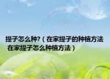 提子怎么種?（在家提子的種植方法 在家提子怎么種植方法）