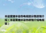 半是蜜糖半是傷電視劇分集劇情介紹（半是蜜糖半是傷劇情介紹電視貓）