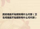廚房墻面不貼瓷磚用什么代替（衛(wèi)生間墻面不貼瓷磚有什么可代替）