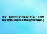 臥室、起居室的室內(nèi)凈高不應低于（水葫蘆可以放臥室養(yǎng)嗎 水葫蘆能在室內(nèi)養(yǎng)嗎）