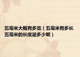 五毫米大概有多寬（五毫米有多長(zhǎng) 五毫米的長(zhǎng)度是多少呢）