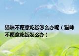 貓咪不愿意吃飯?jiān)趺崔k呢（貓咪不愿意吃飯?jiān)趺崔k）