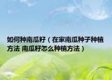 如何種南瓜籽（在家南瓜種子種植方法 南瓜籽怎么種植方法）