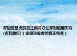 家里進(jìn)壁虎的真正預(yù)兆守住家財(cái)逃避災(zāi)禍(吉利象征)（家里進(jìn)壁虎的真正預(yù)兆）