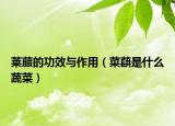 萊菔的功效與作用（菜蕻是什么蔬菜）