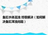 魚缸水體混濁 終極解決（如何解決魚缸渾濁問題）