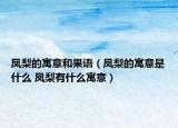 鳳梨的寓意和果語(yǔ)（鳳梨的寓意是什么 鳳梨有什么寓意）