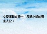 女反派和火騎士（反派小姐的男主人公）