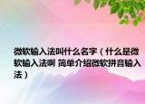 微軟輸入法叫什么名字（什么是微軟輸入法啊 簡單介紹微軟拼音輸入法）