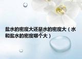 鹽水的密度大還是水的密度大（水和鹽水的密度哪個大）