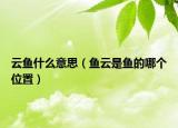 云魚什么意思（魚云是魚的哪個(gè)位置）