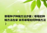 草莓種子種植方法步驟（草莓的種植方法在家 家養(yǎng)草莓如何種植方法）
