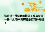 殘荷是一種堅(jiān)韌的境界（殘荷象征一種什么精神 殘荷的象征精神介紹）