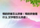 根的拼音怎么拼音（根的拼音是什么 漢字根怎么拼讀）