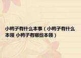 小鴨子有什么本事（小鴨子有什么本領(lǐng) 小鴨子有哪些本領(lǐng)）