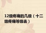 12級(jí)疼痛的幾級(jí)（十二級(jí)疼痛等級(jí)表）