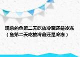 現(xiàn)殺的魚第二天吃放冷藏還是冷凍（魚第二天吃放冷藏還是冷凍）