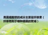 真菌細胞壁的成分主要是纖維素（纖維有利于哪種細菌的繁殖）