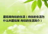 蘑菇屋向往的生活（向往的生活為什么叫蘑菇屋 向往的生活簡介）