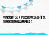 同居指什么（同居的概念是什么 同居有那些法律風險）