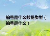 編號是什么數(shù)據(jù)類型（編號是什么）