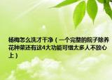 楊梅怎么洗才干凈（一個完整的院子除養(yǎng)花種菜還有這4大功能可惜太多人不放心上）