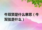 牛雙賢是什么意思（牛雙弦是什么）