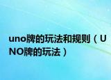 uno牌的玩法和規(guī)則（UNO牌的玩法）