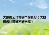 大數(shù)據(jù)云計(jì)算哪個前景好（大數(shù)據(jù)云計(jì)算好不好學(xué)呢）