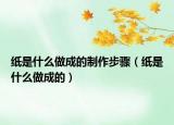紙是什么做成的制作步驟（紙是什么做成的）