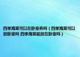 四季海棠可以在臥室養(yǎng)嗎（四季海棠可以放臥室嗎 四季海棠能放在臥室嗎）