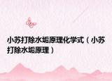 小蘇打除水垢原理化學(xué)式（小蘇打除水垢原理）