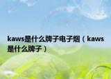 kaws是什么牌子電子煙（kaws是什么牌子）