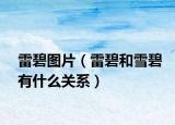 雷碧圖片（雷碧和雪碧有什么關(guān)系）