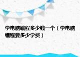 學電腦編程多少錢一個（學電腦編程要多少學費）