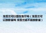 龍舌蘭可以擺在客廳嗎（龍舌蘭可以放臥室嗎 龍舌蘭能不能放臥室）
