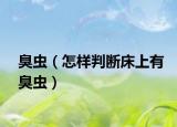 臭蟲（怎樣判斷床上有臭蟲）
